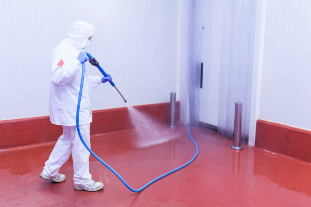 Best Roof Washing  in Monrovia, IN